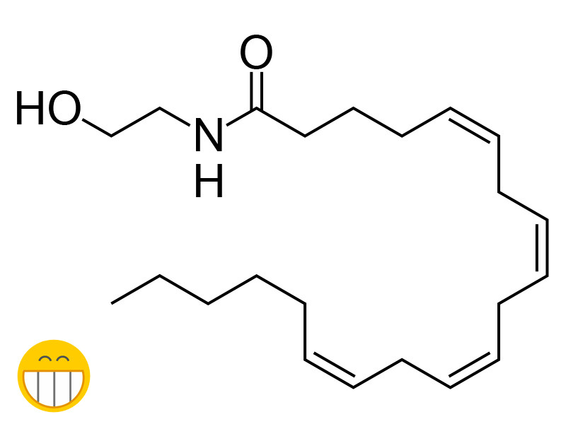 Анандамид формула